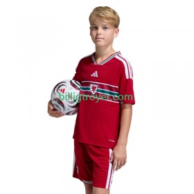 Billige Fotballdrakter Wales Barn Hjemmedraktsett 2026 Kortermet